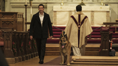 Imagen de Hudson y Rex (T8): Ep.14 Golpe navideño– Parte 2 - 2