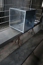 Imagen de La casa de los... (T3): Cárcel de Pauly - 1