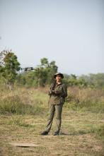Imagen de La isla de los tigres: Ep.2 - 1