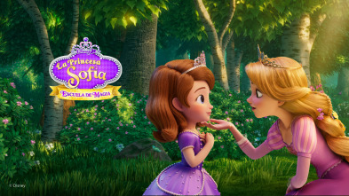Imagen de La princesa Sofía: escuela de magia (T1) - 2