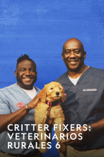 Imagen de Critter Fixers: Veterinarios Rurales 6  - 1
