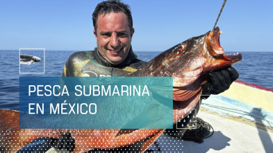 Imagen de Pesca submarina en México - 2