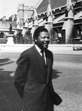 Imagen de Free Nelson Mandela  - 4