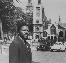 Imagen de Free Nelson Mandela  - 5