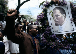 Imagen de Free Nelson Mandela  - 9