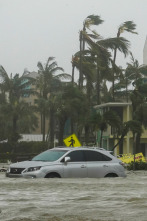 Imagen de En el ojo de la tormenta: Categoría 5: Lucha por sobrevivir - 1