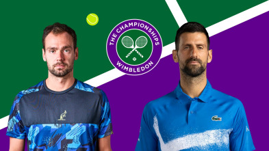 Imagen de Masculino: Safiullin - Djokovic - 2