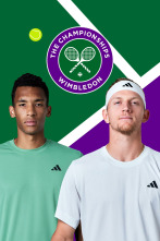 Imagen de Masculino: Auger-Aliassime - Davidovich Fokina - 1