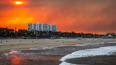 Imagen de En el ojo de la tormenta: Escapando de los incendios de Los Ángeles - 2