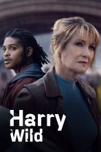 Imagen de Harry Wild (T4) - 1