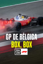 Imagen de Mundial F1 - GP... (2026): Box, Box - 1