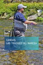 Imagen de Cangas, las truchas del Narcea - 1