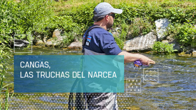 Imagen de Cangas, las truchas del Narcea - 2