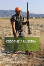 Imagen de Codorniz a muestra - 1