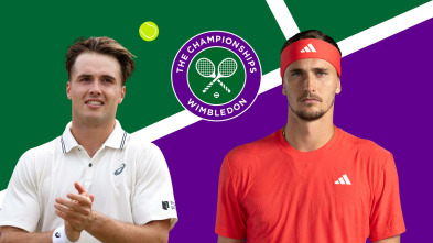 Imagen de Masculino: Fery - Zverev - 2