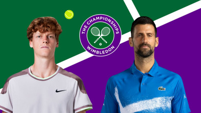 Imagen de Masculino: Sinner - Djokovic - 2