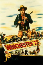 Imagen de Winchester 73 - 1