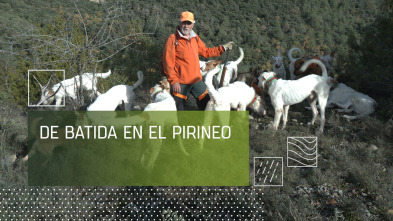 Imagen de De batida en el pirineo - 2