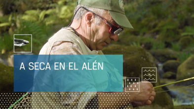 Imagen de A seca en el Alén - 2