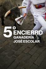 Imagen de Vive San Fermín (T2026): Ep.6 - 1