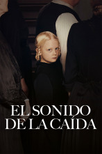 Imagen de El sonido de la caída - 1