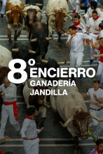 Imagen de Vive San Fermín (T2026): Ep.9 - 1