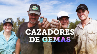 Imagen de Cazadores de gemas, Season 8 (T8) - 2