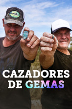 Imagen de Cazadores de gemas, Season 8 (T8) - 1