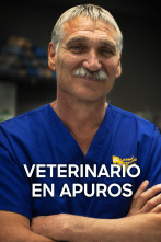 Imagen de Veterinario en apuros: Recogiendo los pedazos - 1