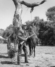 Imagen de Cabalgar en solitario - 11