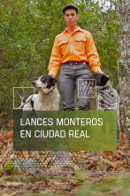 Imagen de Lances monteros en Ciudad Real - 1
