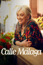 Imagen de Calle Málaga - 1