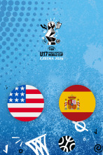 Imagen de Final: EEUU - España - 1