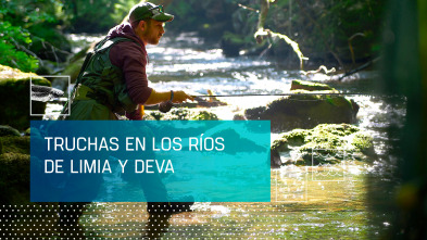 Imagen de Truchas en los ríos Limia y Deva - 2