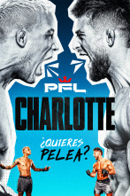 Imagen de Velada Completa Charlotte - 1