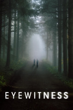 Imagen de Eyewitness (T1) - 1