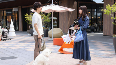 Imagen de Amores perros (T1): Ep.1 Un encuentro por obra del destino - 2