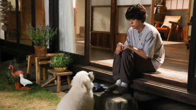 Imagen de Amores perros (T1): Ep.10 Tres corazones, un camino - 2