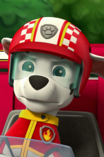 Imagen de La Patrulla Canina: Rescate a toda velocidad - 3