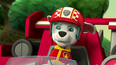 Imagen de La Patrulla Canina: Rescate a toda velocidad - 4