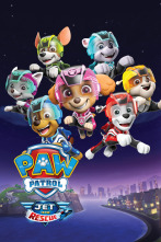 Imagen de La patrulla al rescate - 1