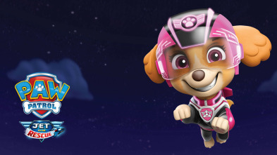 Imagen de La patrulla al rescate - 2