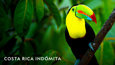 Imagen de Costa Rica Indómita  - 2