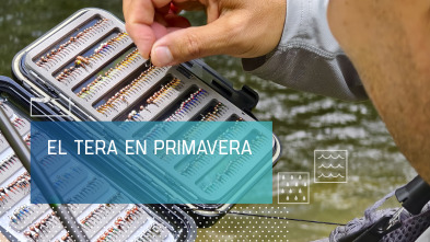 Imagen de El Tera en primavera - 2