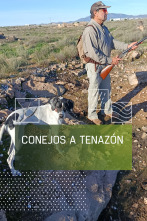 Imagen de Conejos a tenazón - 1