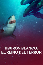 Imagen de Tiburón blanco: el reino del terror - 1