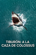 Imagen de Tiburón: a la caza de Colossus - 1