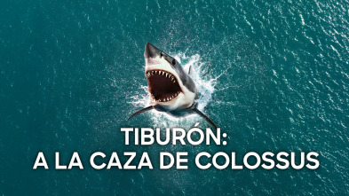 Imagen de Tiburón: a la caza de Colossus - 2