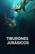 Imagen de Tiburones jurásicos - 1