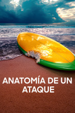 Imagen de Anatomía de un ataque - 1